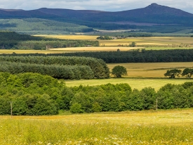 FarmingScotland
