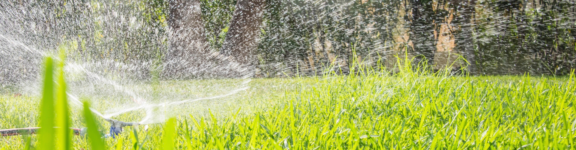 watering lawn